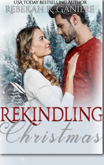 The novel cover